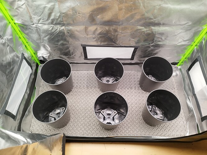 Growreport Bild 10
