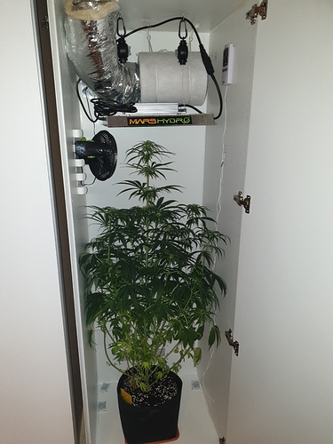 Growreport Bild 1