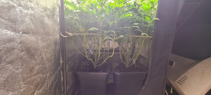Growreport Bild 1