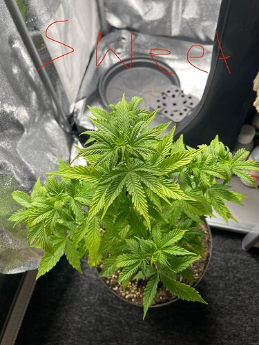 Growreport Bild 21