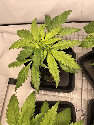 Growreport Bild 14