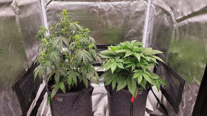 Growreport Bild 7