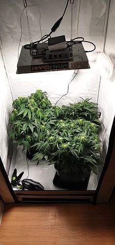 Growreport Bild 2