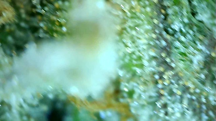 Growreport Bild 53