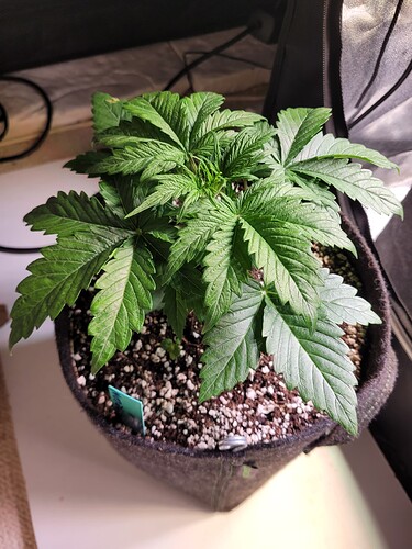 Growreport Bild 12