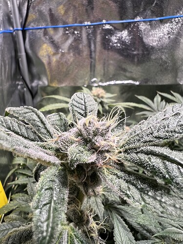 Growreport Bild 26