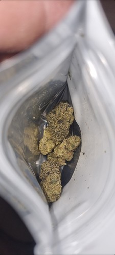 Screenshot_20210915-212536_Gallery