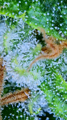 2023_01_13_11_57_58_471