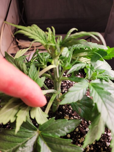 Growreport Bild 16