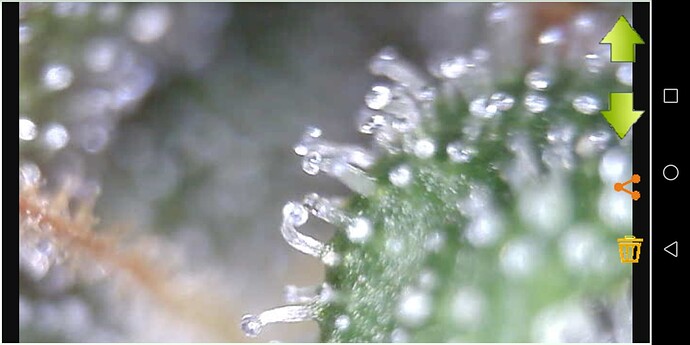 Screenshot_20230607-231527