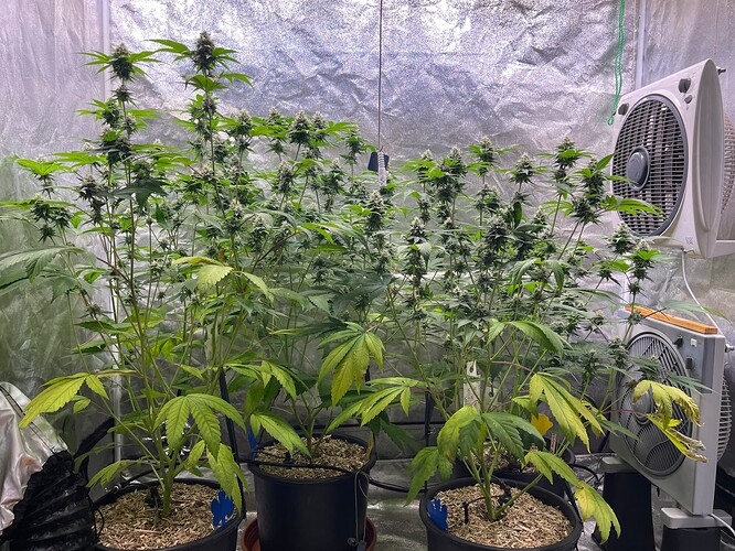 Growreport Bild 3