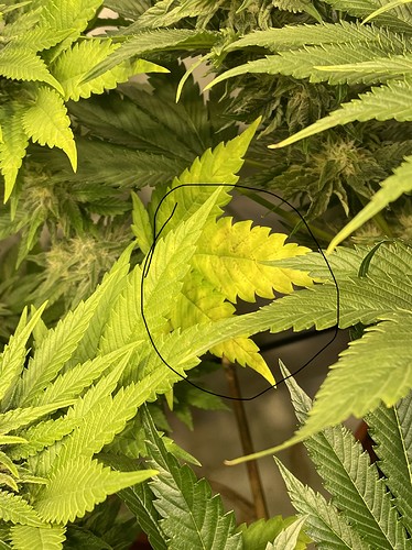 Growreport Bild 14