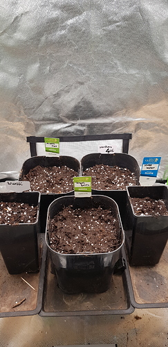 Growreport Bild 12