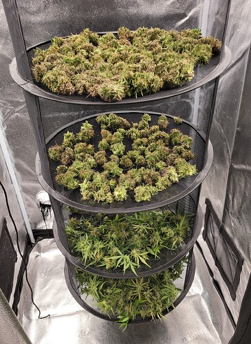 Growreport Bild 6