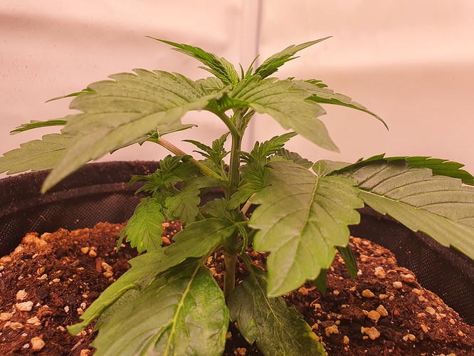 Growreport Bild 11