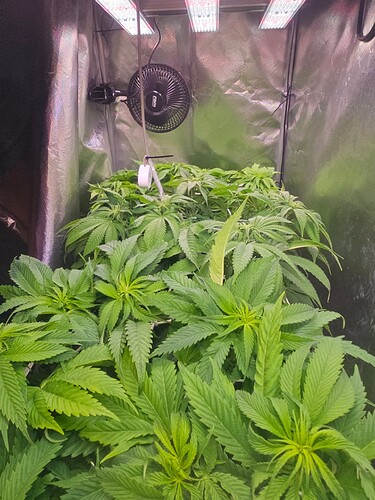 Growreport Bild 8