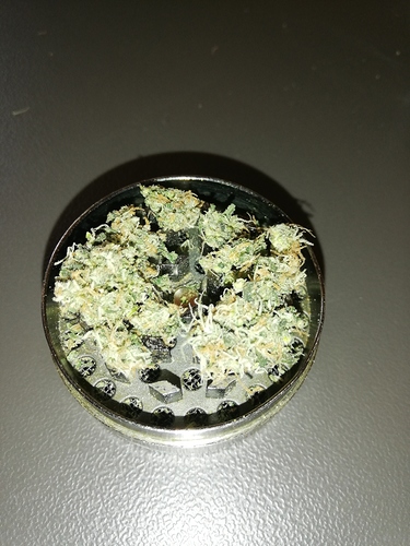 Growreport Bild 10