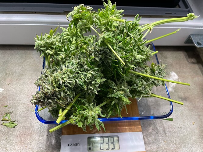 Growreport Bild 8