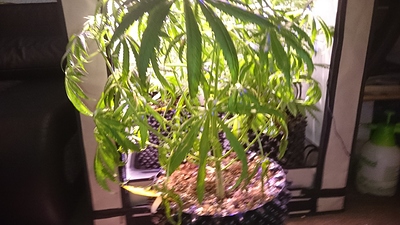 Growreport Bild 14