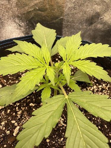 20211008_073809803_iOS