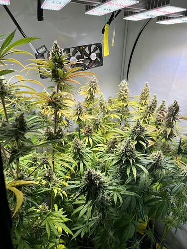 Growreport Bild 4