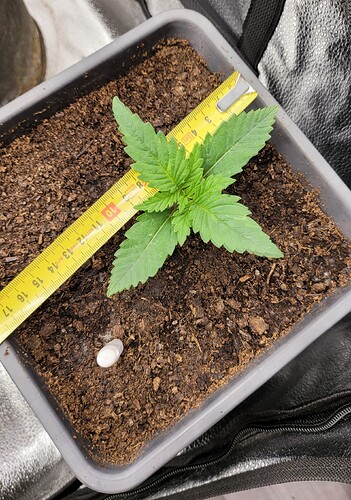 Growreport Bild 160