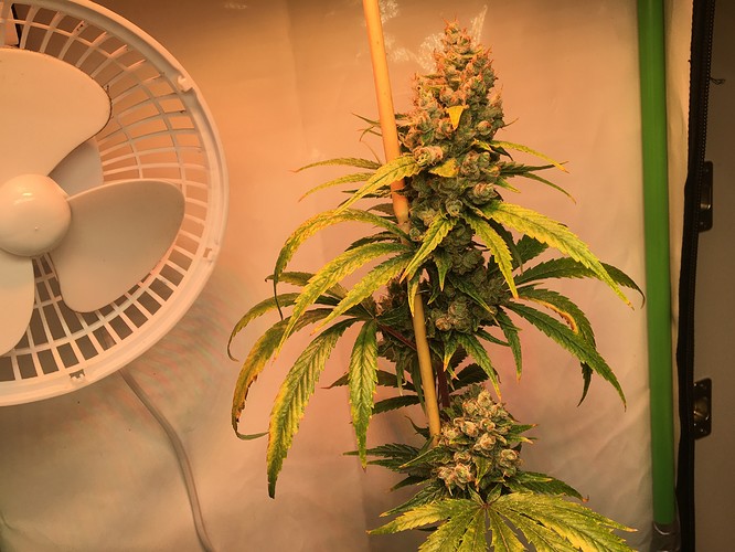 Growreport Bild 11