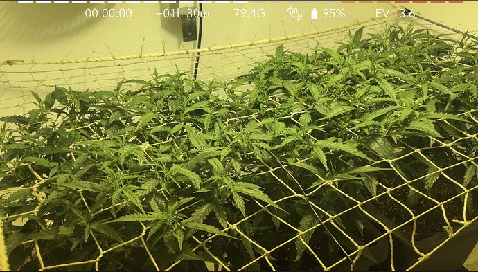 Growreport Bild 13