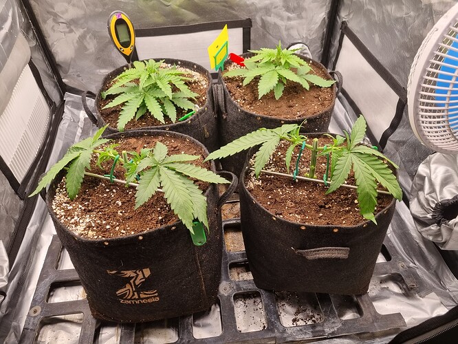 Growreport Bild 8