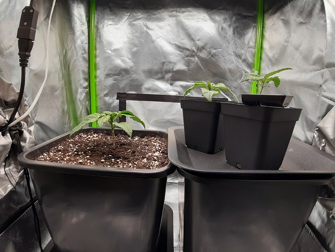 Growreport Bild 13