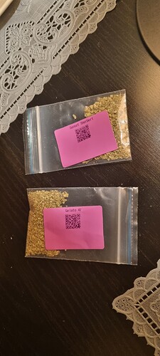 Growreport Bild 4