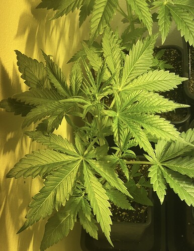 Growreport Bild 10