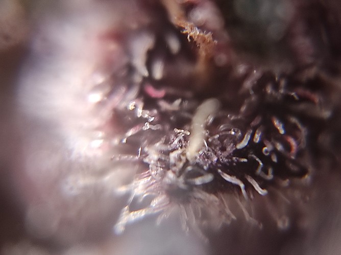 Growreport Bild 13