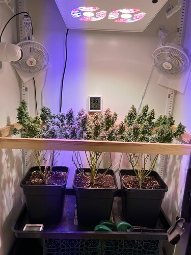 Growreport Bild 1