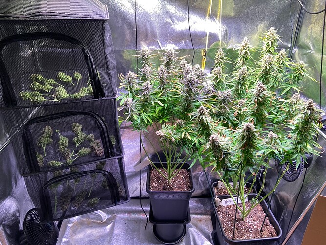 Growreport Bild 11