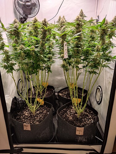 Growreport Bild 16