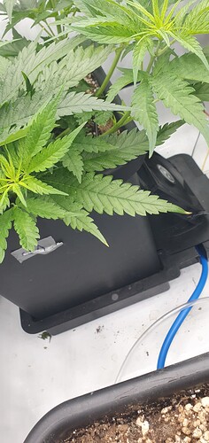 Growreport Bild 12