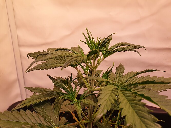 Growreport Bild 15