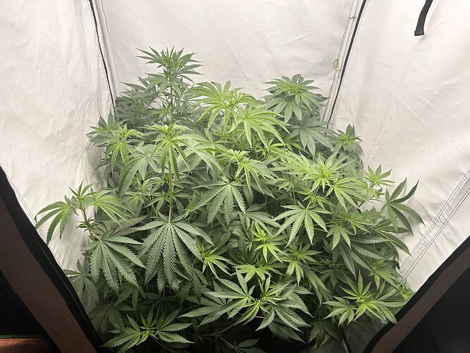 Growreport Bild 5