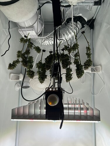 Growreport Bild 1