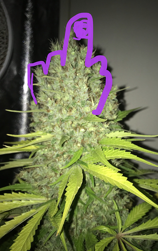 Growreport Bild 24