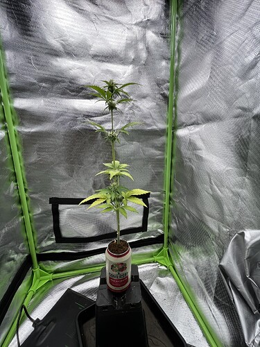 Growreport Bild 13