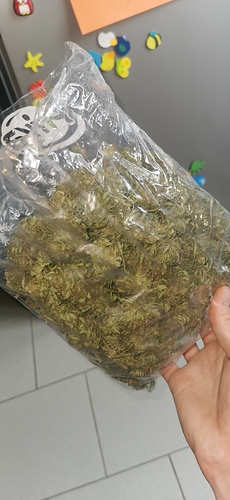 Growreport Bild 7