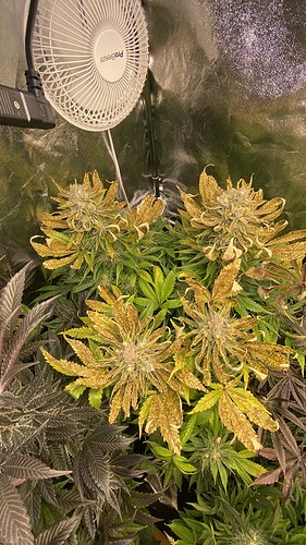 Growreport Bild 14