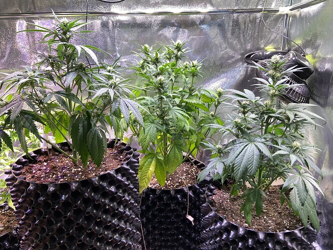Growreport Bild 15
