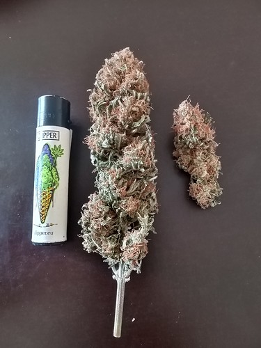 IMG_20211105_111329_239