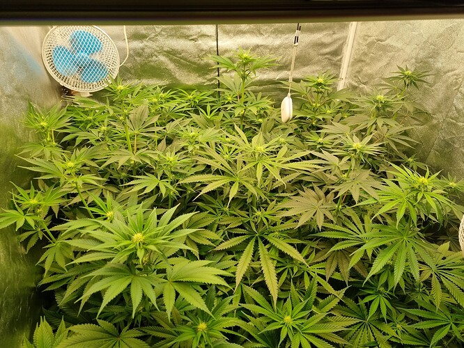 Growreport Bild 6