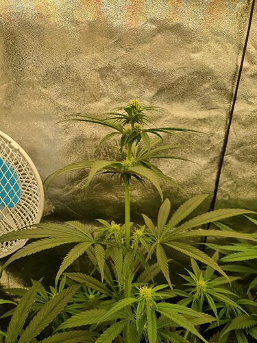 Growreport Bild 9