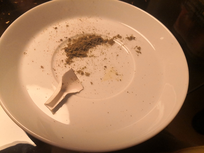 Growreport Bild 8