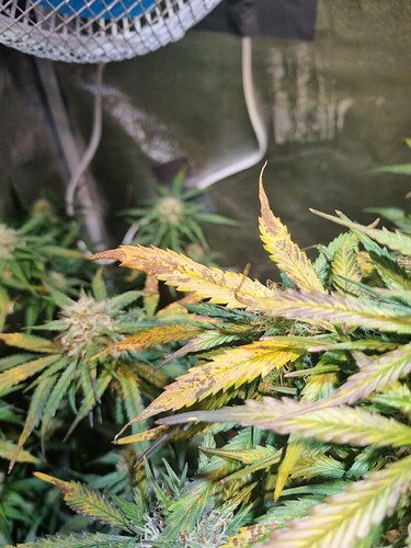 Growreport Bild 11